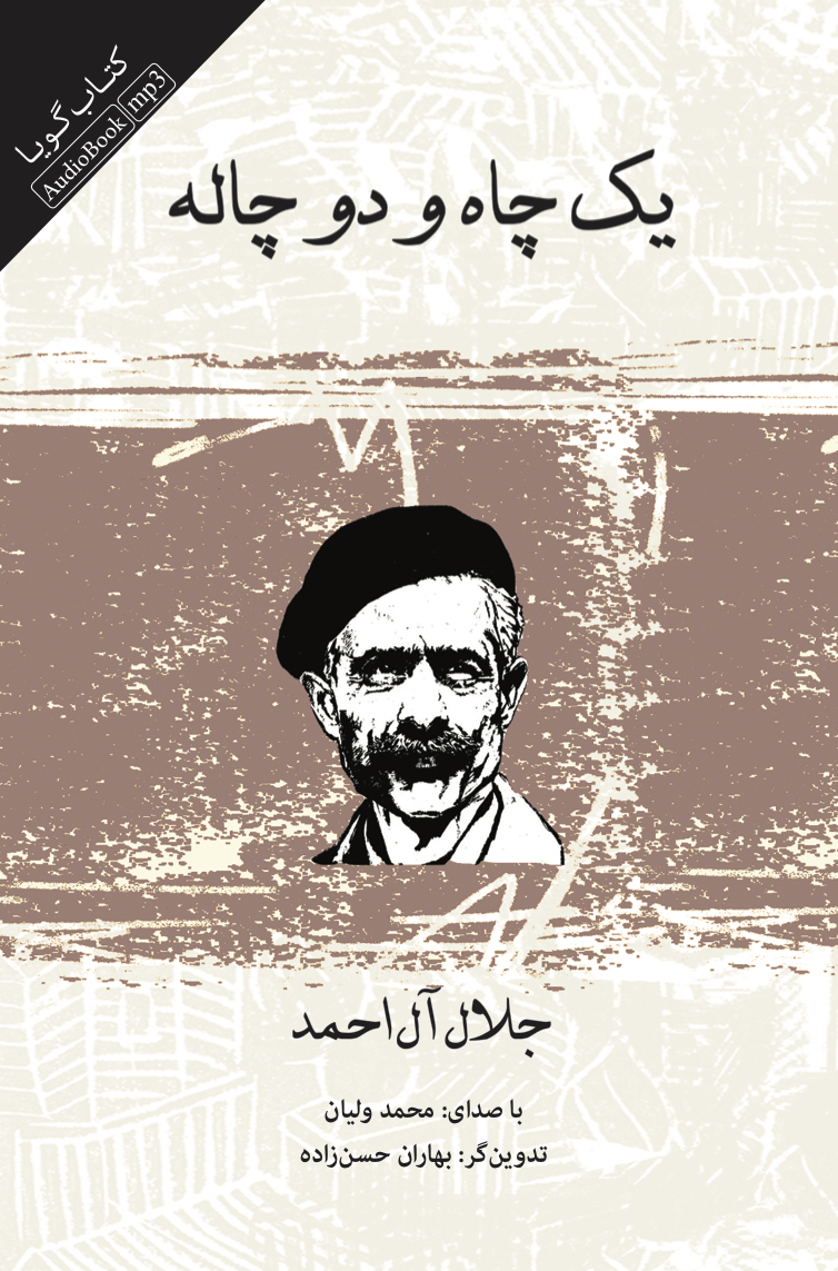 Picture of یک چاه و دو چاله