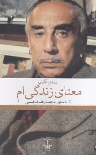 چشمه/معنای زندگی‌ام/Cover.jpg