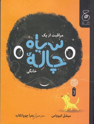 چشمه/مراقبت از یک سیاه‌چاله‌ی خانگی/Cover.jpg