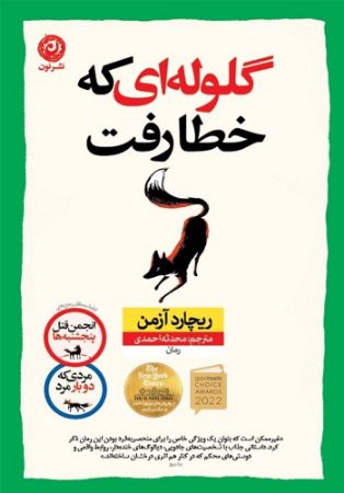 نون/گلوله‌ای که خطا رفت/cover.jpg