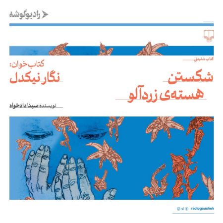 رادیوگوشه/شکستن هسته‌ی زرد آلو/Cover.jpg